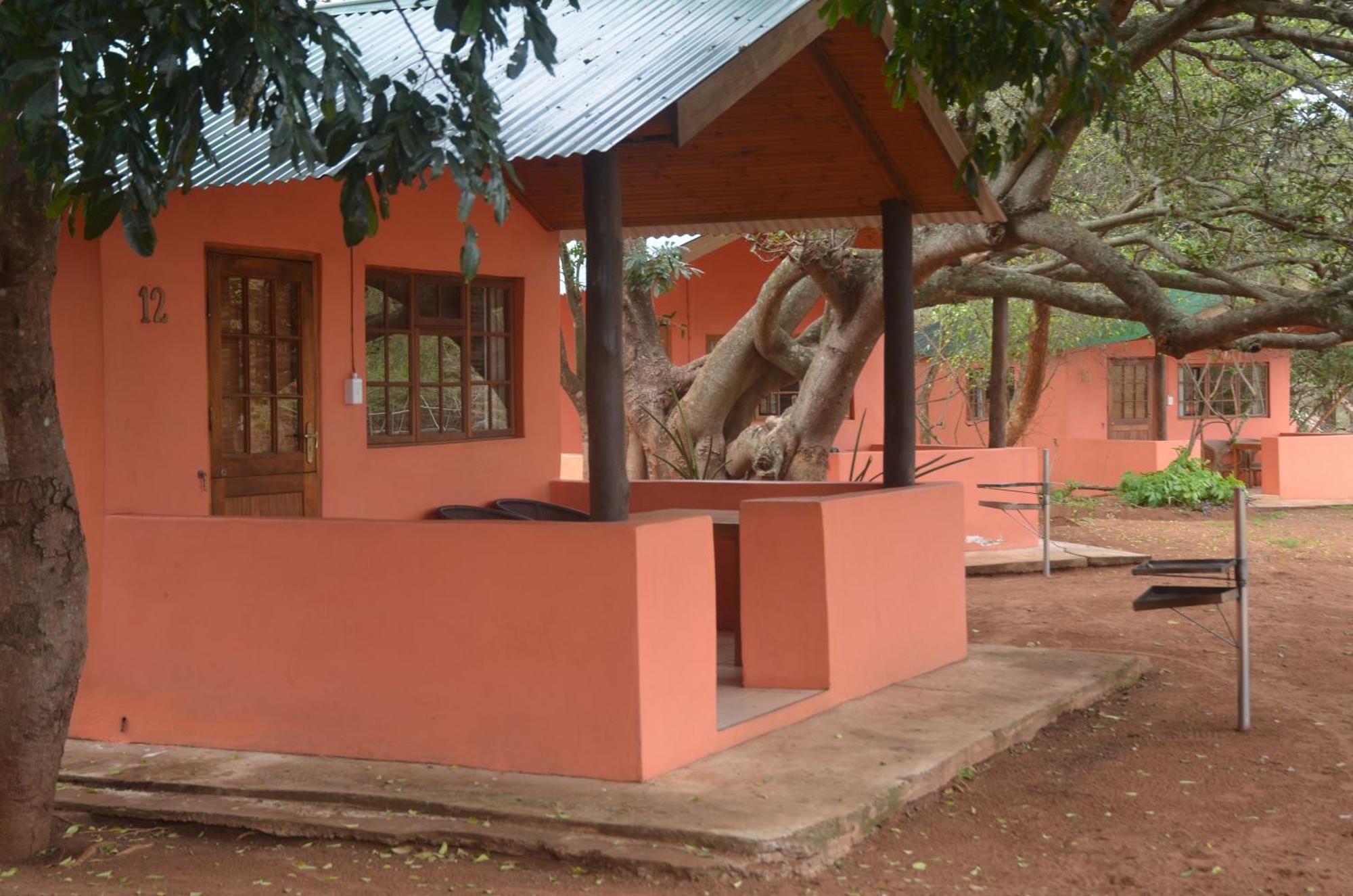 Bushbaby Lodge & Camping Hluhluwe Bilik gambar