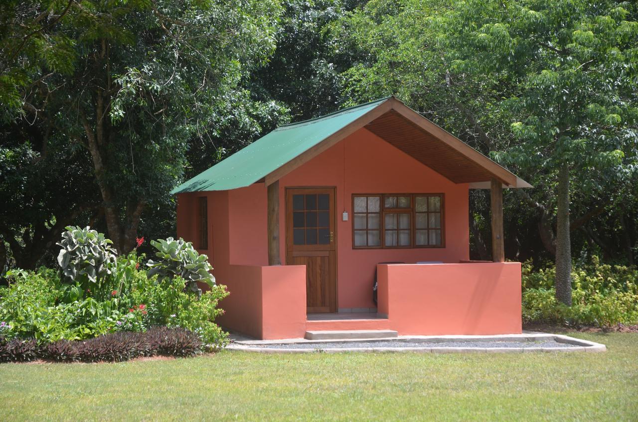 Bushbaby Lodge & Camping Hluhluwe Luaran gambar