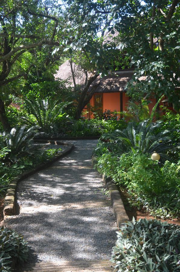Bushbaby Lodge & Camping Hluhluwe Luaran gambar